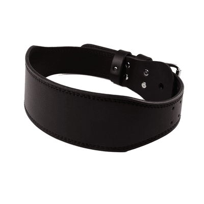 Gym Belt