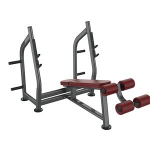 NU-1041 Olympic Decline Bench