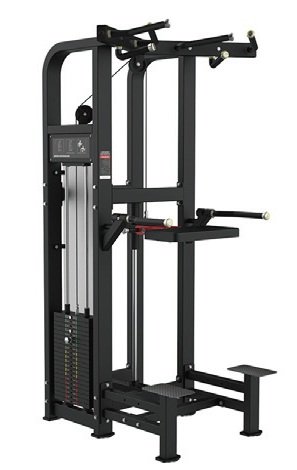 Python-020 Assisted Chin Dip